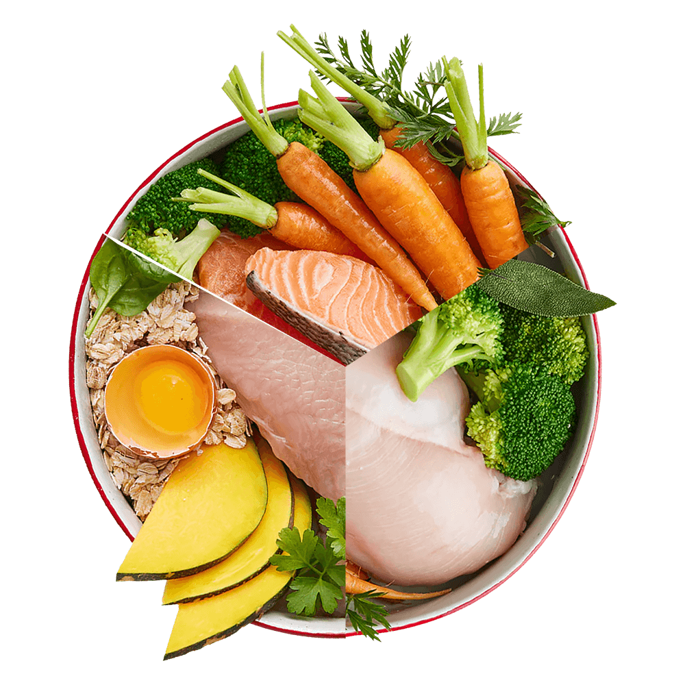 Heartly Fresh Dog Food Everything But The Beef Large Pack Heartly Meals heartly-fresh-dog-food-everything-but-the-beef-large-pack-heartly-meals